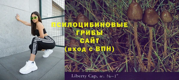 кристаллы Абаза