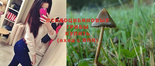 гашик Абинск