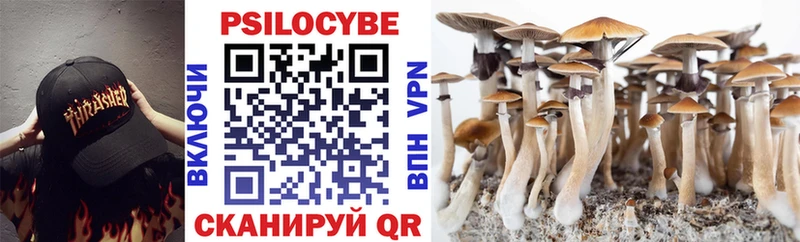 Галлюциногенные грибы Psilocybine cubensis  цена   ОМГ ОМГ зеркало  Тотьма 
