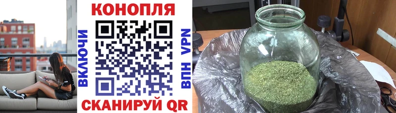 купить цена Тотьма Каннабис планчик
